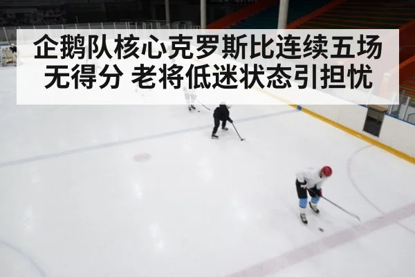 ice hockey rink
